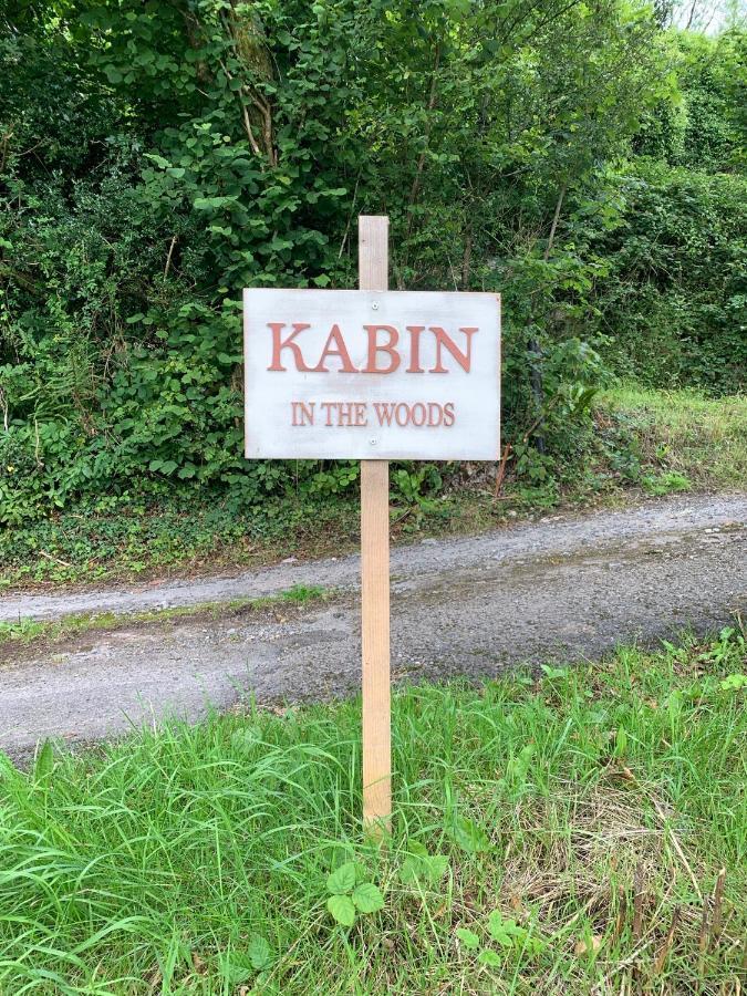 Kabin In The Woods Βίλα Llandybie Εξωτερικό φωτογραφία